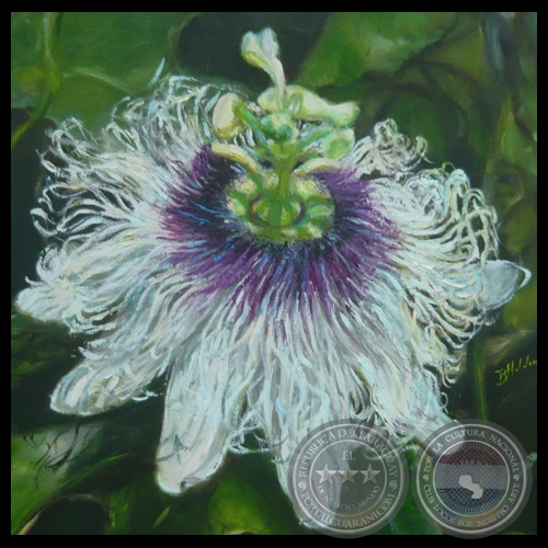 FLOR DE MBURUCUYÁ, 2011 - Obra de BEATRÍZ HOLDEN